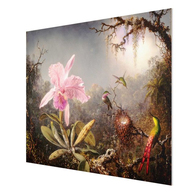 Print on forex - Martin Johnson Heade - Orchid And Three Hummingbirds