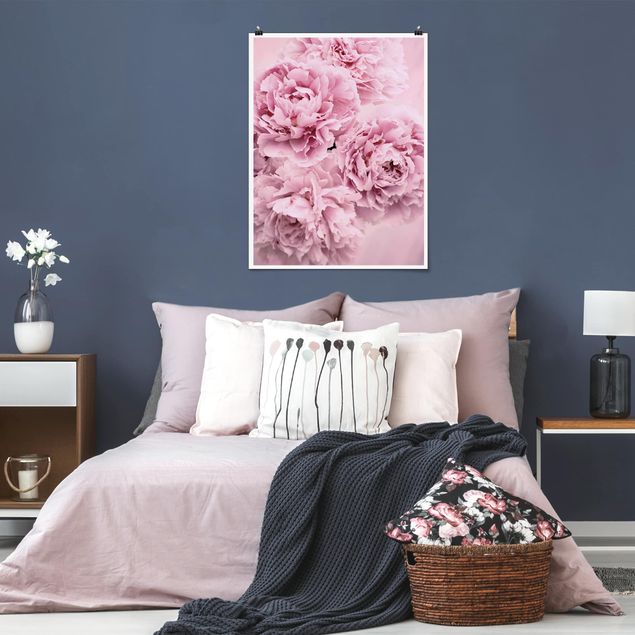Poster - Pink Peonies