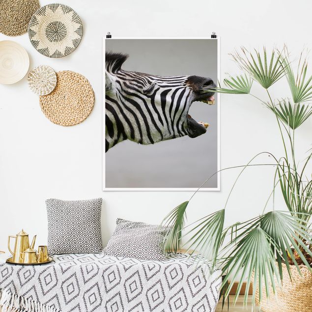 Poster animals - Roaring Zebra