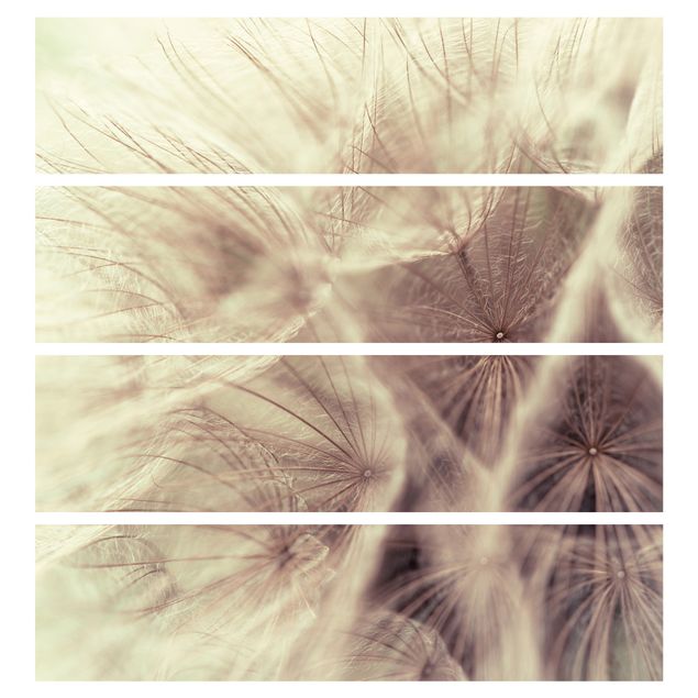 Adhesive film for furniture IKEA - Malm chest of 4x drawers - Detailed Dandelion Macro Shot With Vintage Blur Effect