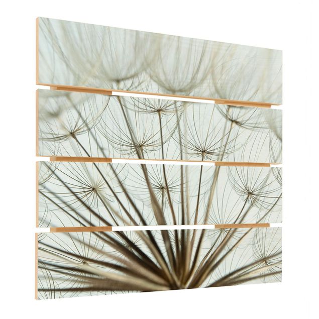 Print on wood - Beautiful dandelion macro shot