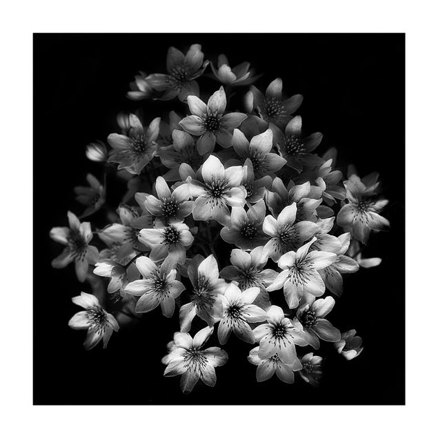 Forest rugs Dark Clematis Bouquet