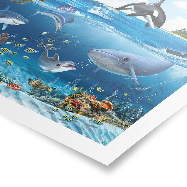 Poster - Animal Club International - Underwater World With Animals