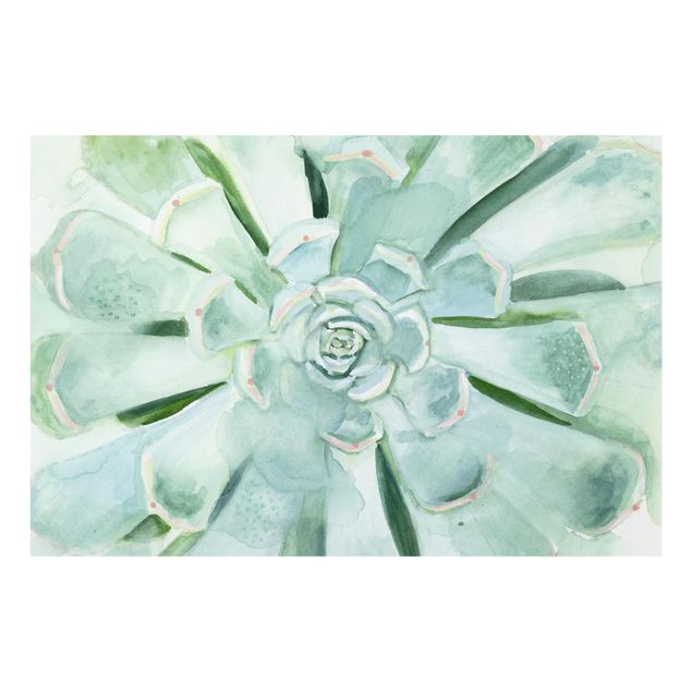 Splashback - Succulent Plant Watercolour Light Coloured