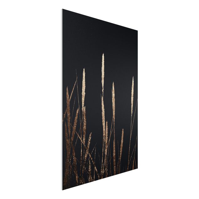 Print on forex - Graphical Plant World - Golden Reed