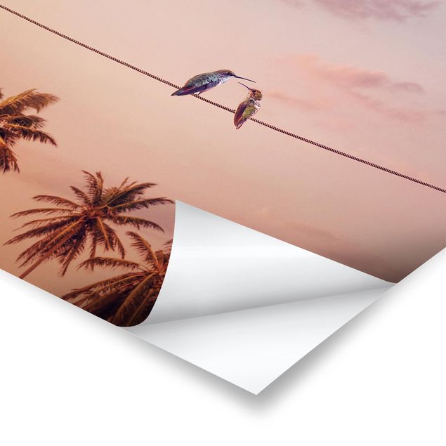 Poster animals - Sunset With Hummingbird
