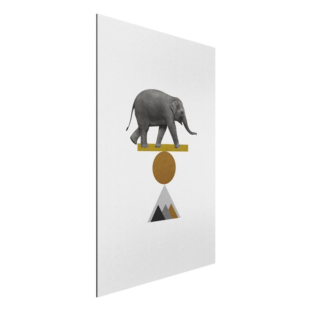 Alu dibond Art Of Balance Elephant