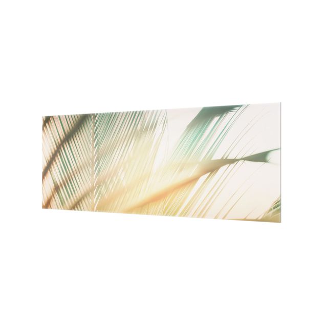 Splashback - Tropical Plants Palm Trees At Sunset II