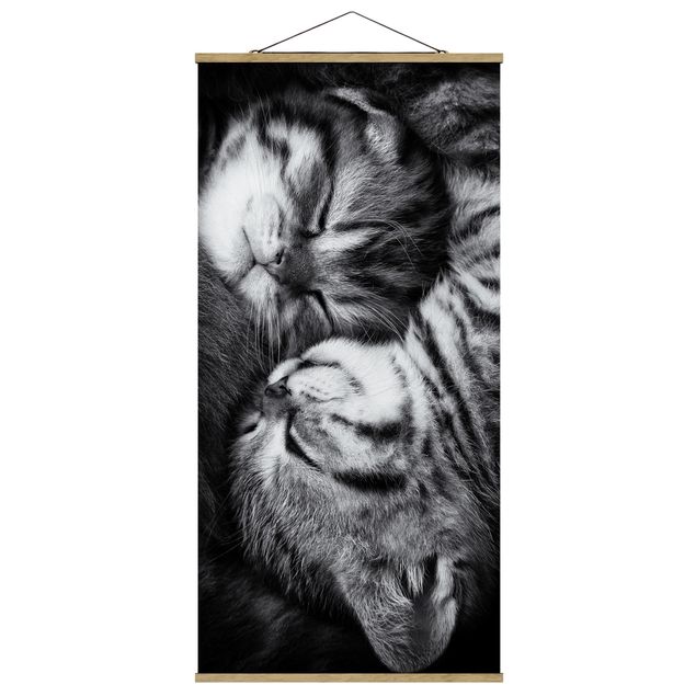 Fabric print with poster hangers - Two Kittens