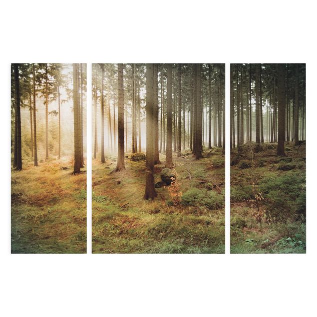 Print on canvas 3 parts - No.CA48 Morning forest