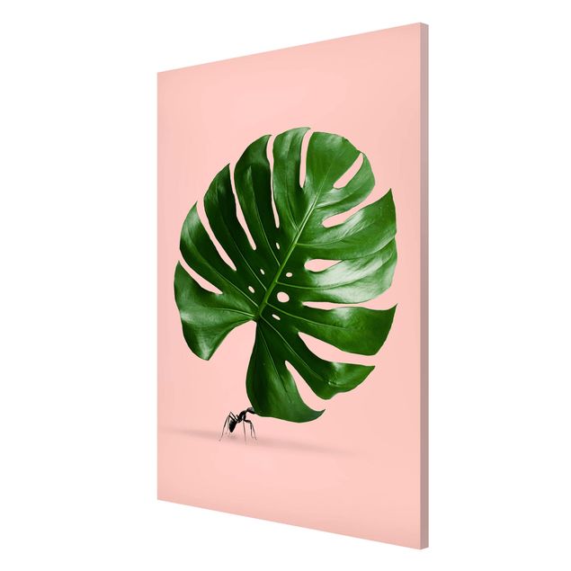Magnetic memo board - Ant With Monstera Leaf