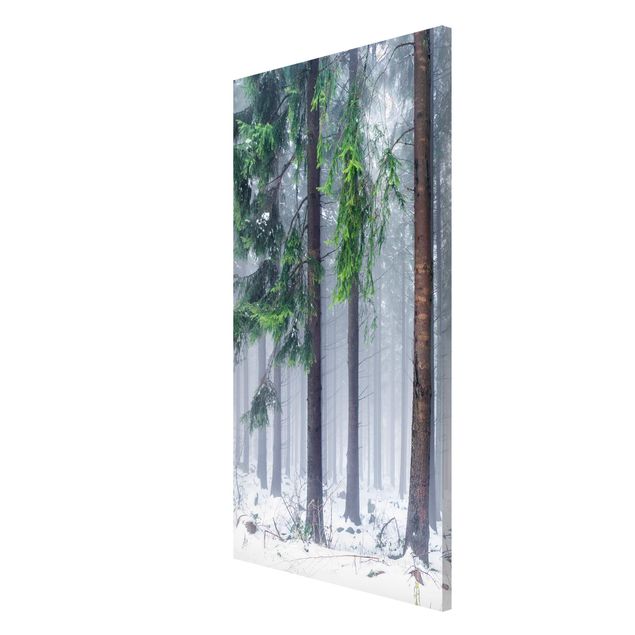 Magnetic memo board - Conifers In Winter