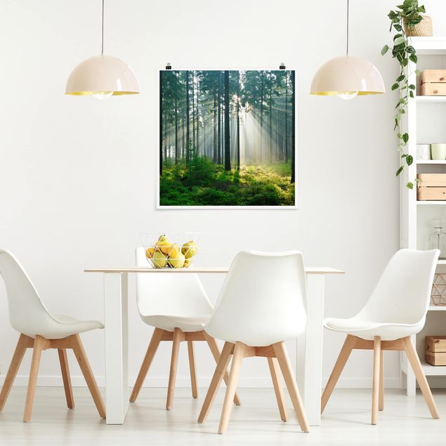 Poster - Enlightened Forest