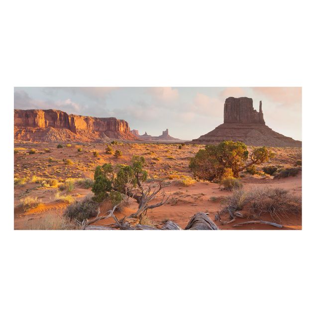 Splashback - Monument Valley Navajo Tribal Park Arizona