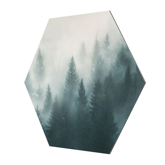 Alu-Dibond hexagon - Coniferous Forest In Fog