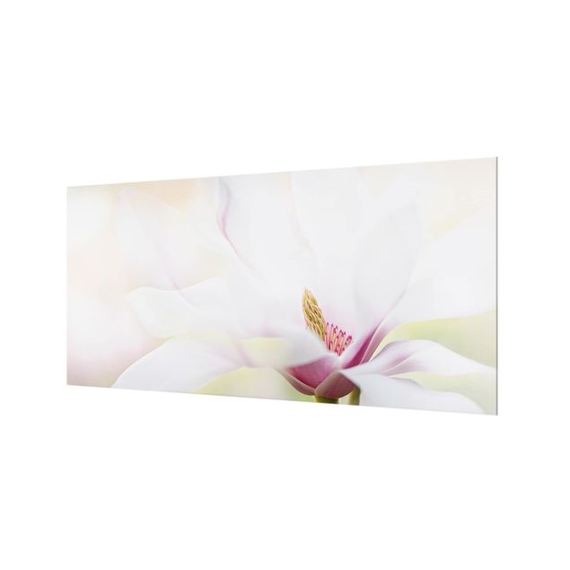 Splashback - Delicate Magnolia Blossom
