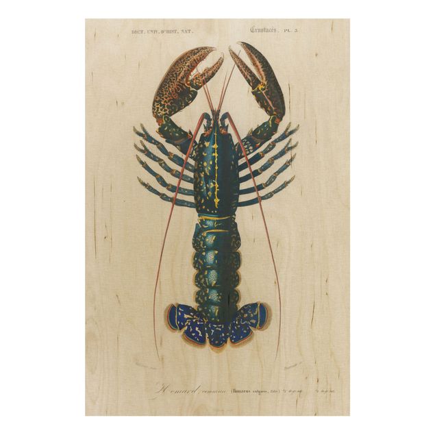 Print on wood - Vintage Board Blue Lobster