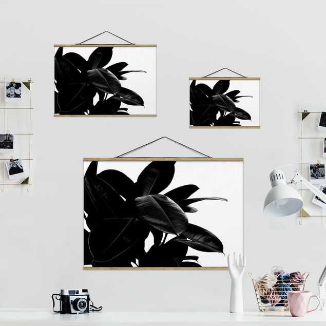 Fabric print with poster hangers - Rubber Tree Black And White
