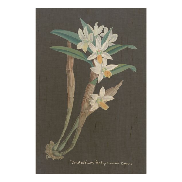 Print on wood - White Orchid On Linen I