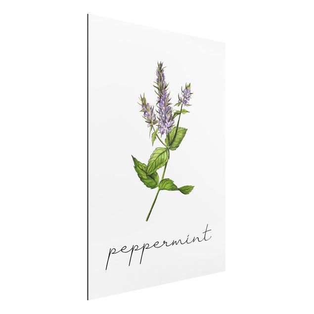 Alu dibond Herbs Illustration Pepper Mint