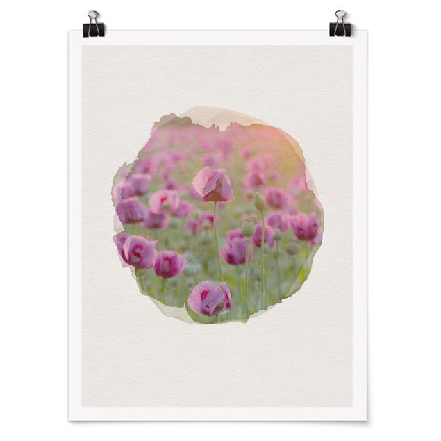 Poster - WaterColours - Violet Poppy Flowers Meadow In Spring
