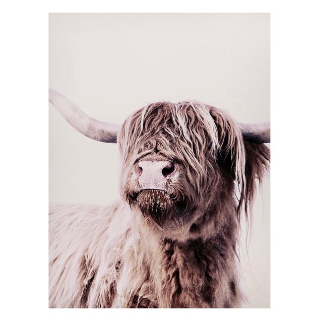 Magnetic memo board - Highland Cattle Frida In Beige