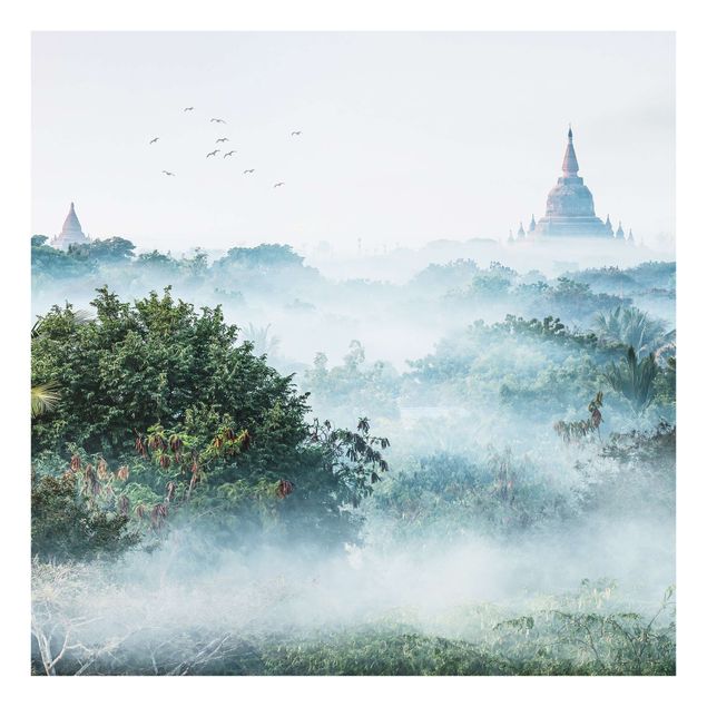 Splashback - Morning Fog Over The Jungle Of Bagan - Square 1:1
