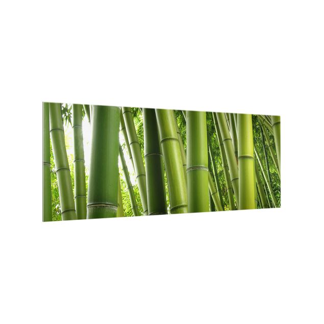 Glass splashback Bamboo Trees