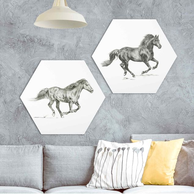 Forex hexagon - Wild Horse Study Set I