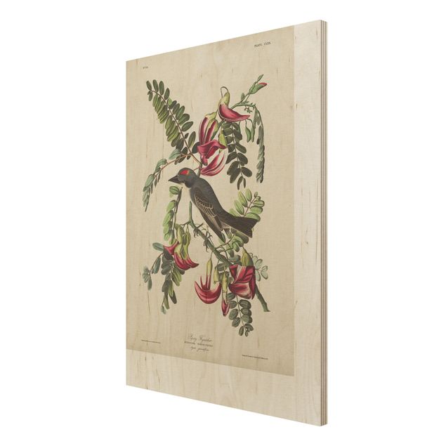 Print on wood - Vintage Board Flycatchers II