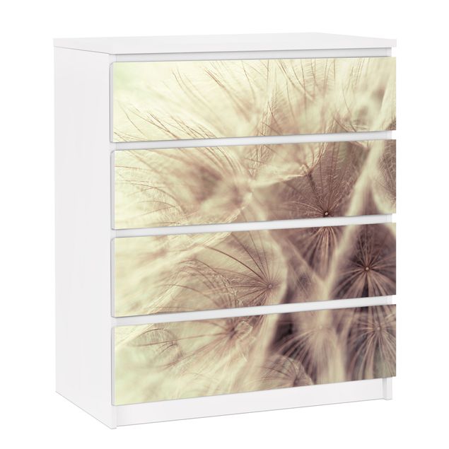 Adhesive film for furniture IKEA - Malm chest of 4x drawers - Detailed Dandelion Macro Shot With Vintage Blur Effect