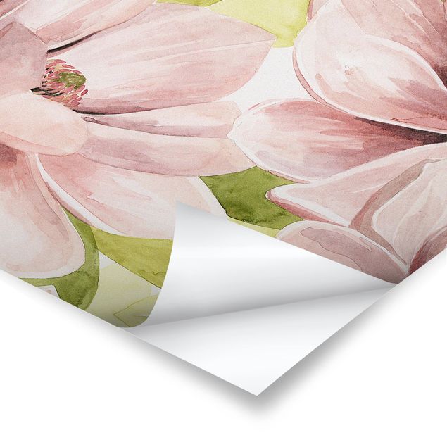 Poster flowers - Magnolia Blushing II