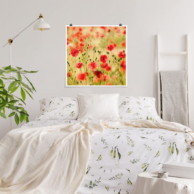 Poster - Summer Poppies