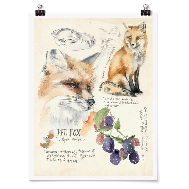 Poster flowers - Wilderness Journal - Fox