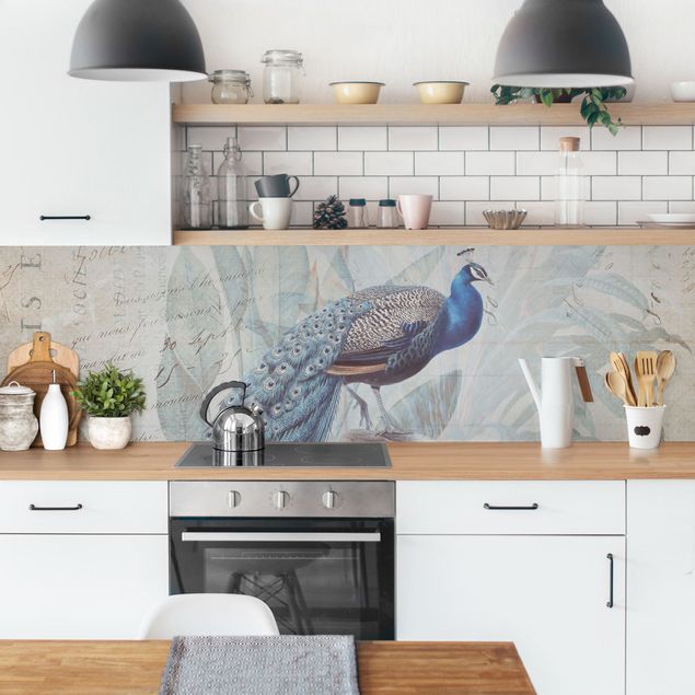 Kitchen splashback animals Shabby Chic Collage - Peacock