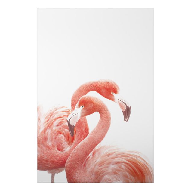 Print on aluminium - Two Flamingos