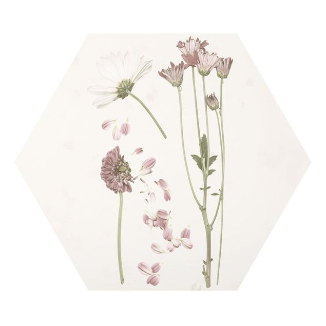 Forex hexagon - Herbarium In Pink II