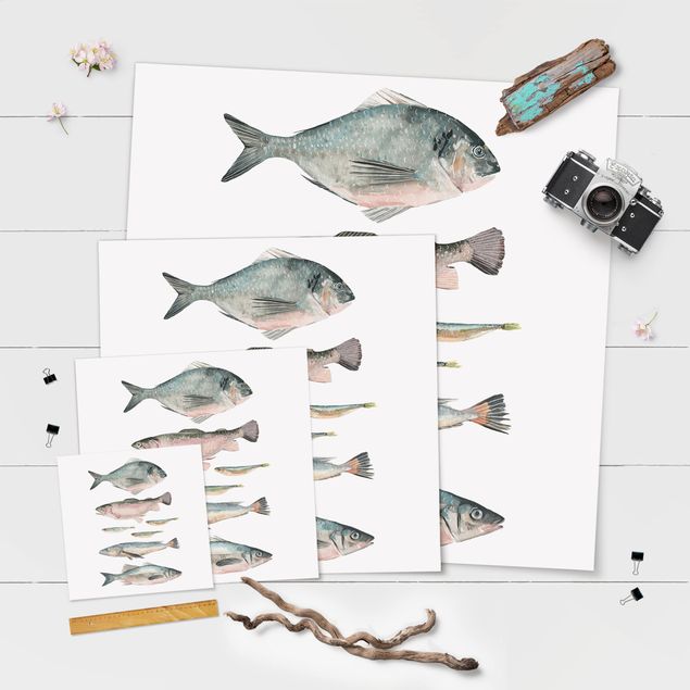 Poster - Seven Fish In Watercolour II