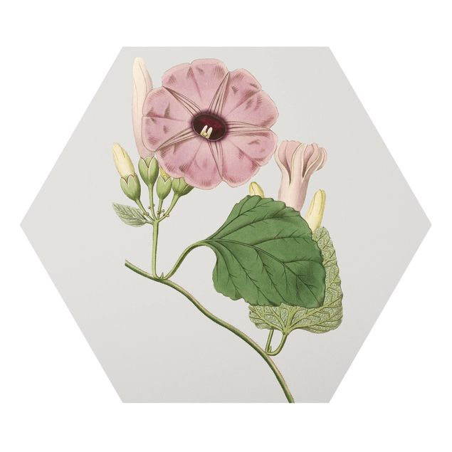 Forex hexagon - Floral Jewelry III