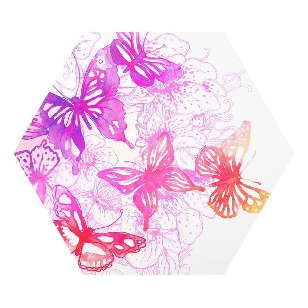 Forex hexagon - Butterfly Dream