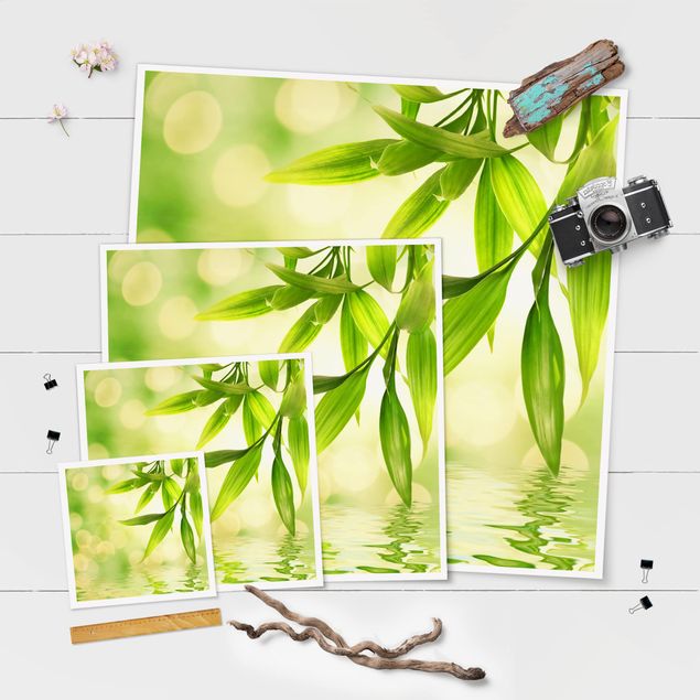 Poster - Green Ambiance I