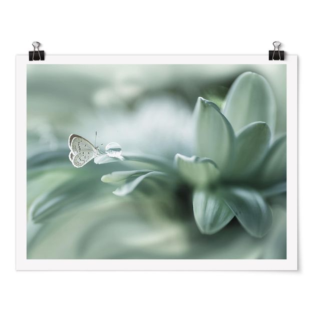 Poster - Butterfly And Dew Drops In Pastel Green