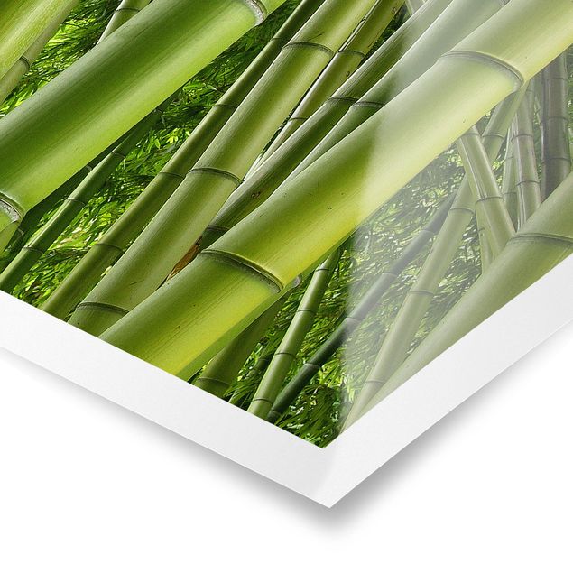 Poster - Bamboo Trees No.2