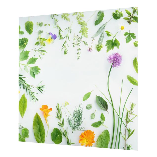 Glass Splashback - Herbs And Flowers - Square 1:1