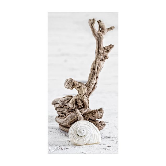 beige area rug White Snail Shell And Root Wood