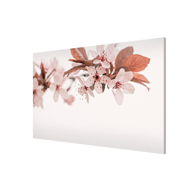Magnetic memo board - Delicate Cherry Blossoms On A Twig