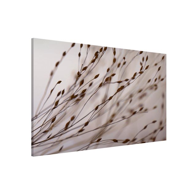 Magnetic memo board - Soft Grasses In Slipstream