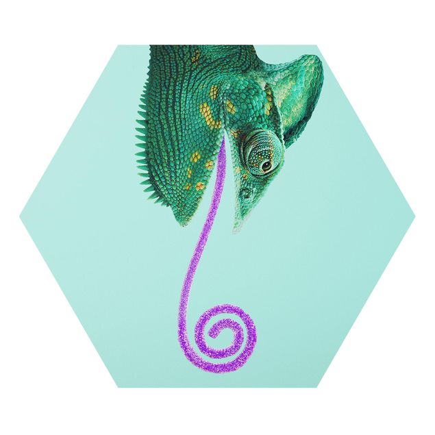 Forex hexagon - Chameleon With Sugary Tongue