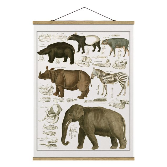 Fabric print with poster hangers - Vintage Board Elephant, Zebra And Rhino