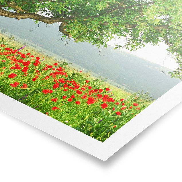 Poster - Summer Meadow